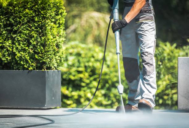 Best Building Exterior Washing  in Whitney, TX
