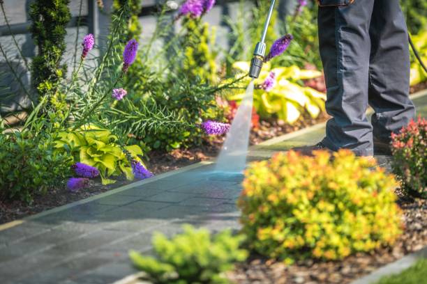 Professional Pressure Washing Services in Whitney, TX