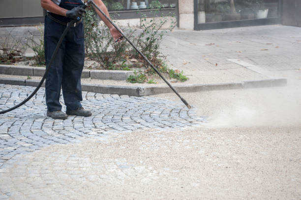 Best Animal Enclosure Cleaning  in Whitney, TX